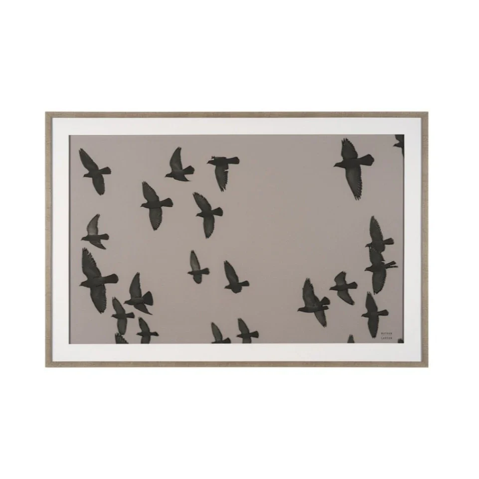 Free Shipping Collection